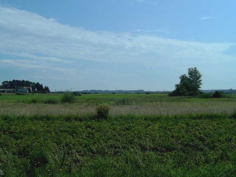 Czesniki area